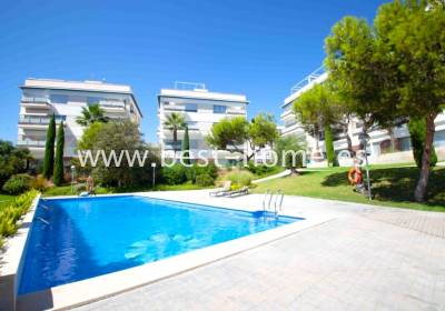 Penthouse - Wtórny - Los Dolses - Bh192PC376