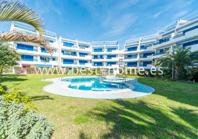 Penthouse - Wtórny - Playa Flamenca - BH205A543