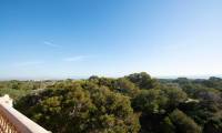 Pierwotny - Apartament - Guardamar del Segura