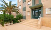 Pierwotny - Apartament - La Mata