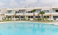 Pierwotny - Apartament - Torrevieja