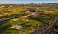 Pierwotny - Dom / Willa - Hacienda del Alamo Golf