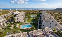 Pierwotny - Penthouse - Vera