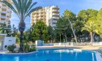 Sale - Apartment - Campoamor