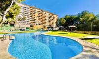 Sale - Apartment - Dehesa de Campoamor
