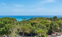 Sale - Apartment - Dehesa de Campoamor