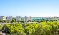 Sale - Apartment - Dehesa de Campoamor