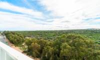 Sale - Apartment - Guardamar del Segura