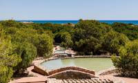 Sale - Apartment - La Marina