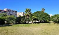 Sale - Apartment - La Mata