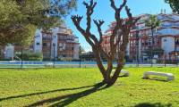 Sale - Apartment - La Mata