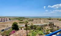 Sale - Apartment - La Mata