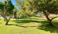 Sale - Apartment - La Mata