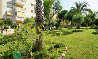 Sale - Apartment - La Mata