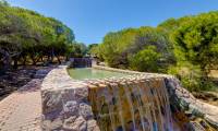 Sale - Apartment - La Mata