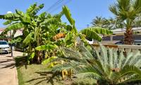 Sale - Apartment - La Mata