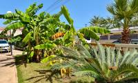 Sale - Apartment - La Mata