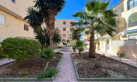 Sale - Apartment - La Mata