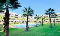 Sale - Apartment - Los Altos