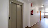 Sale - Apartment - Los Dolses