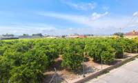 Sale - Apartment - Orihuela