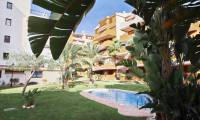 Sale - Apartment - Punta Prima