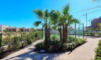 Sale - Apartment - Punta Prima