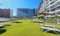 Sale - Apartment - Punta Prima