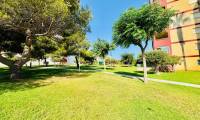 Sale - Apartment - Torrevieja