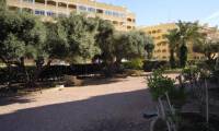 Sale - Apartment - Torrevieja