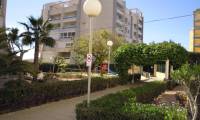 Sale - Apartment - Torrevieja