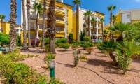 Sale - Apartment - Torrevieja