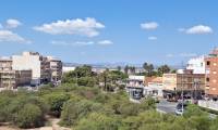 Sale - Apartment - Torrevieja