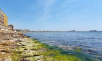 Sale - Apartment - Torrevieja