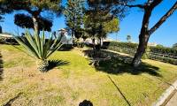 Sale - Bungalow - La Mata