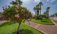 Sale - Bungalow - Playa Flamenca
