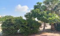 Sale - Bungalow - Torrevieja