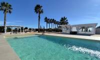 Sale - Finca - Almoradi