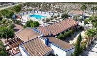 Sale - Finca - Crevillente  - Crevillente