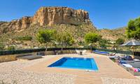 Sale - Finca - Crevillente  - Crevillente