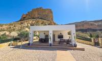 Sale - Finca - Crevillente  - Crevillente