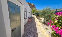 Sale - Finca - Crevillente  - Crevillente