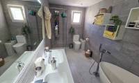 Sale - Finca - Crevillente  - Crevillente