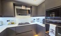 Sale - Finca - Crevillente  - Crevillente