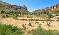 Sale - Finca - Crevillente  - Crevillente