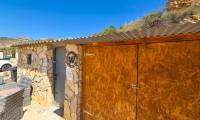 Sale - Finca - Crevillente  - Crevillente