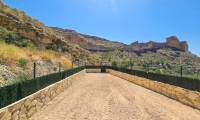 Sale - Finca - Crevillente  - Crevillente