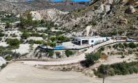 Sale - Finca - Crevillente  - Crevillente