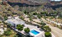 Sale - Finca - Crevillente  - Crevillente