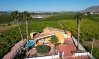 Sale - Finca - Orihuela